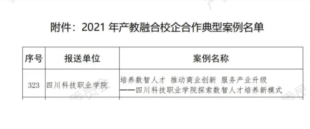 四川科技職業(yè)學(xué)院校企合作-新道云財經(jīng)學(xué)院