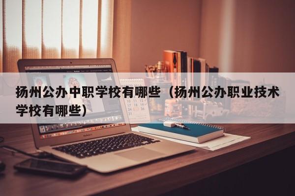 揚州公辦中職學(xué)校有哪些（揚州公辦職業(yè)技術(shù)學(xué)校有哪些）