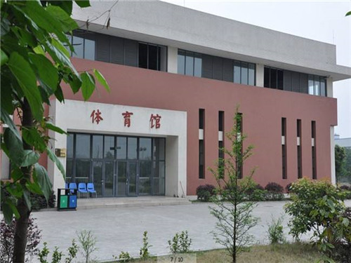 四川綿陽外貿(mào)電子學校網(wǎng)站