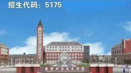 包含成都有哪些大學(xué)?？茖W(xué)校的詞條