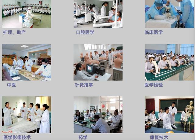 包含煙臺護士學校3十4分數(shù)線的詞條圖2
