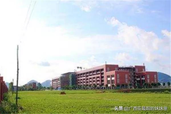 包含廣西幼師學校哪所最好大專的詞條圖1