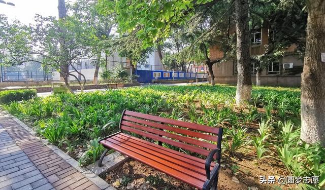 大學專科有哪些學校(重慶學校有哪些大學?？?