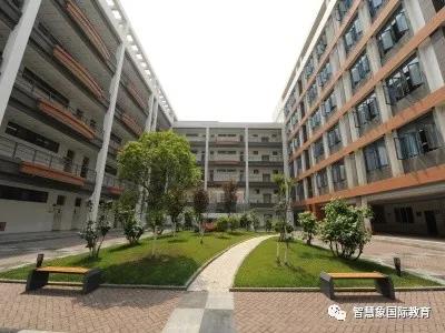 成都協(xié)同國際學(xué)校學(xué)費(成都華德福國際學(xué)校學(xué)費)