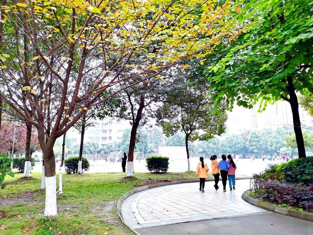 新都一中實(shí)驗(yàn)學(xué)校(新都一中實(shí)驗(yàn)學(xué)校老師名單)