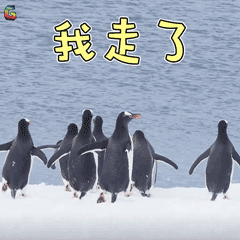 免學(xué)費(fèi)中專(zhuān)招生學(xué)校有哪些(廣州免學(xué)費(fèi)中專(zhuān)招生學(xué)校有哪些)