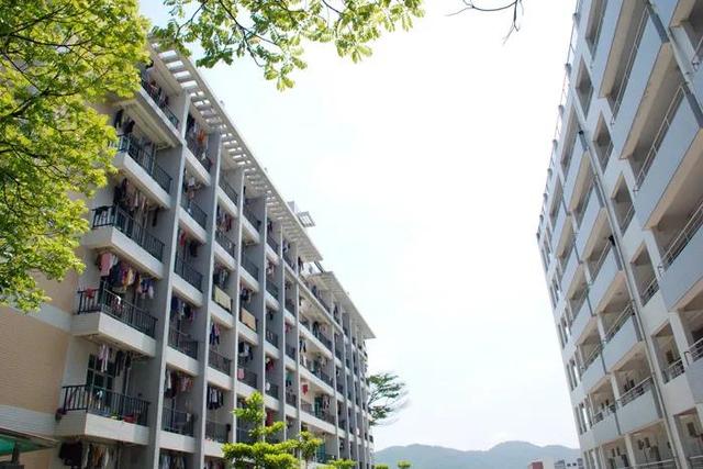 重慶口碑好的職業(yè)學校有哪些(重慶電訊職業(yè)學校口碑怎么樣)