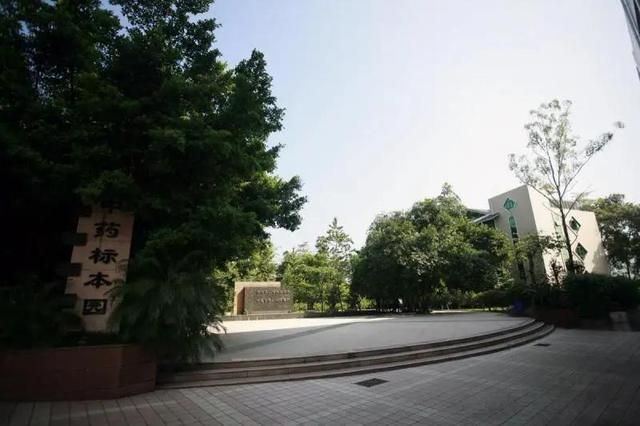 重慶口碑好的職業(yè)學校有哪些(重慶電訊職業(yè)學?？诒趺礃?