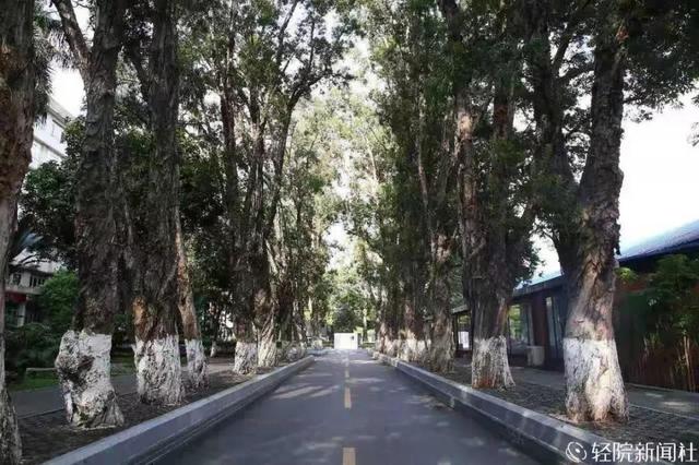 重慶口碑好的職業(yè)學校有哪些(重慶電訊職業(yè)學?？诒趺礃?