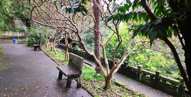 四川師范類??朴心男W(xué)校(四川最好的師范類專科)
