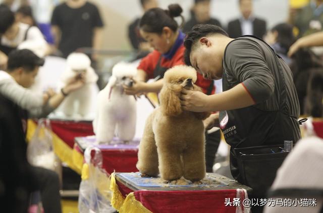 適合女生讀的職業(yè)學(xué)校專(zhuān)業(yè)(重慶適合女生讀的職業(yè)學(xué)校)