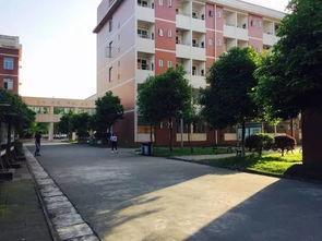 德陽衛(wèi)校地址(德陽衛(wèi)校錄取分?jǐn)?shù)線)