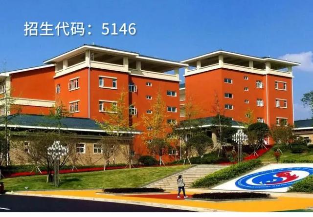 關于四川的護理專業(yè)的學校的信息