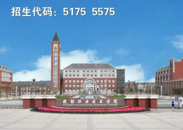 關于四川的護理專業(yè)的學校的信息