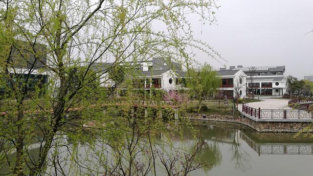 四川幼兒師范高等?？茖W(xué)校(四川幼兒師范高等?？茖W(xué)校分數(shù)線)