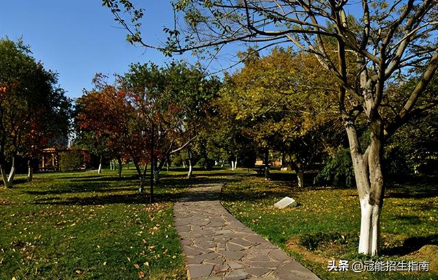 成都?？谱o理哪個學校好的簡單介紹