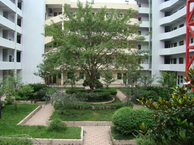 四川省通江縣職業(yè)高級中學(四川省通江縣職業(yè)高級中學官網)
