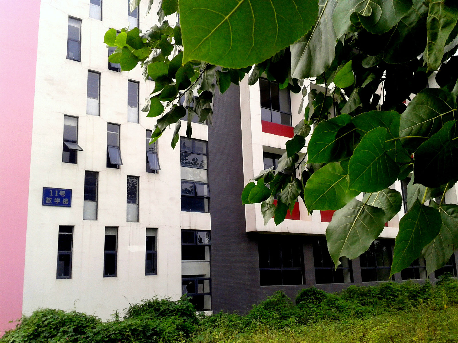 四川建筑職業(yè)技術學院(四川建筑職業(yè)技術學院貼吧)