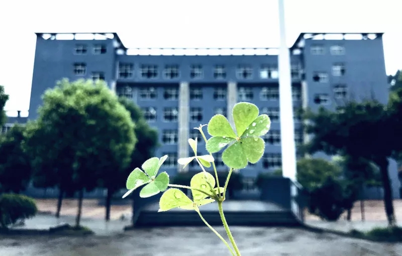 平昌通用職業(yè)技術(shù)學校(平昌通用職業(yè)技術(shù)學校官網(wǎng))