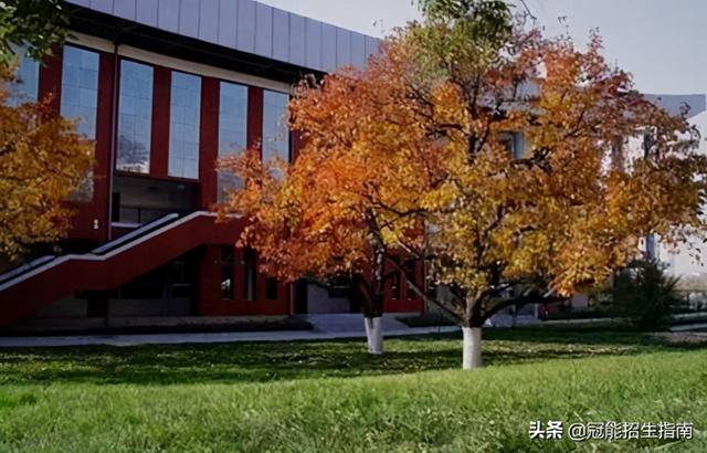 計(jì)算機(jī)專(zhuān)業(yè)學(xué)校成都(河北計(jì)算機(jī)專(zhuān)業(yè)學(xué)校排名)