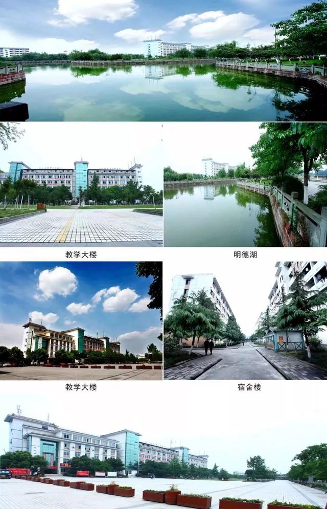 四川高鐵乘務員有哪些學校(考高鐵乘務員需要哪些條件)