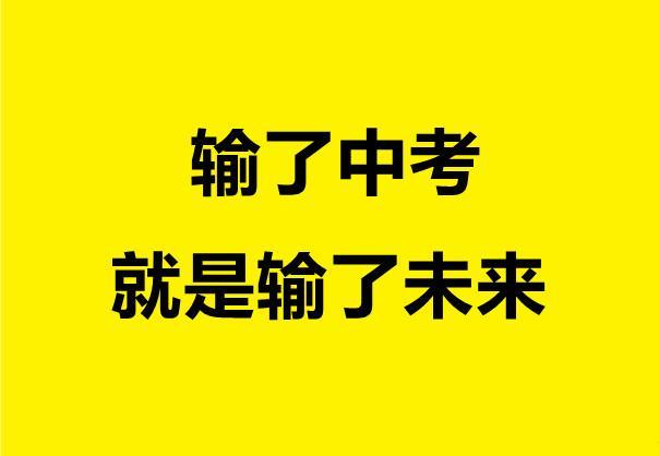 300分的初中生可以上什么學校(初中畢業(yè)300分可以上什么學校)