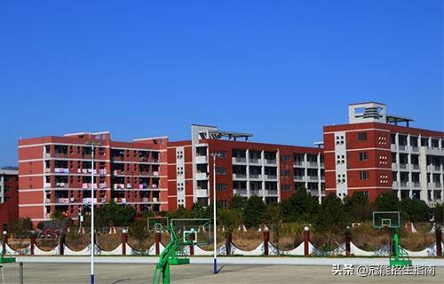 成都有什么專業(yè)學校(成都獸醫(yī)專業(yè)學校)