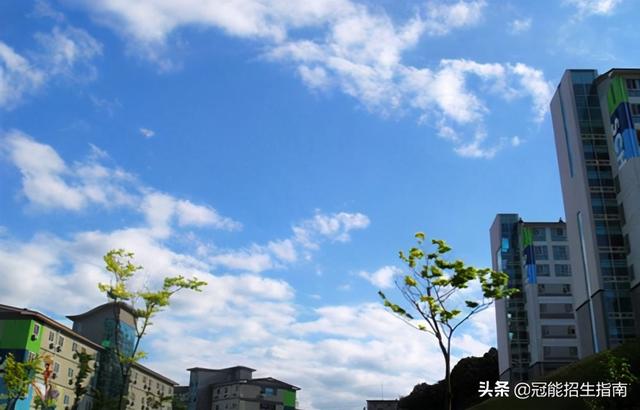 成都有哪些技術(shù)學(xué)校(成都有哪些技術(shù)學(xué)校的專(zhuān)科)