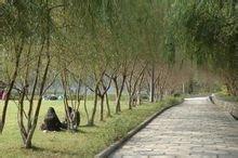 四川幼兒師范高等?？茖W(xué)校(四川幼兒師范高等專科學(xué)校地址)