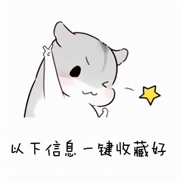 四川公立職業(yè)學校(四川國際標榜職業(yè)學校)