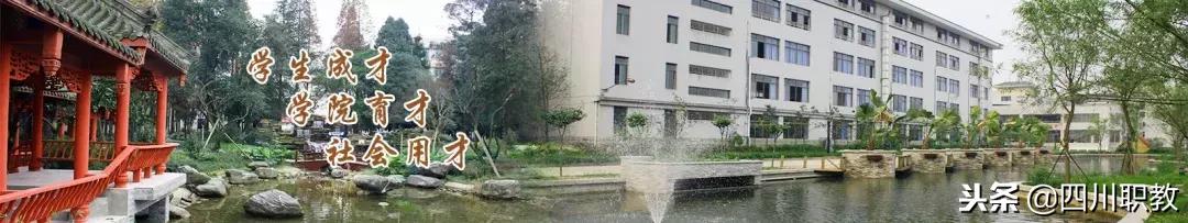 四川幼師專業(yè)學校(四川幼師專業(yè)學校分數(shù)線)