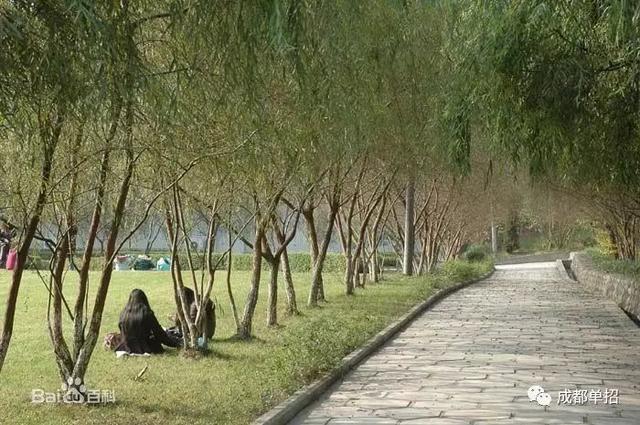 四川幼兒師范學(xué)校地址(四川幼兒師范學(xué)校高等專(zhuān)科學(xué)校官網(wǎng))