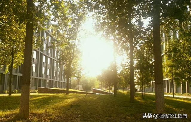 成都幼師專業(yè)學(xué)校專科(成都幼師職業(yè)學(xué)校)