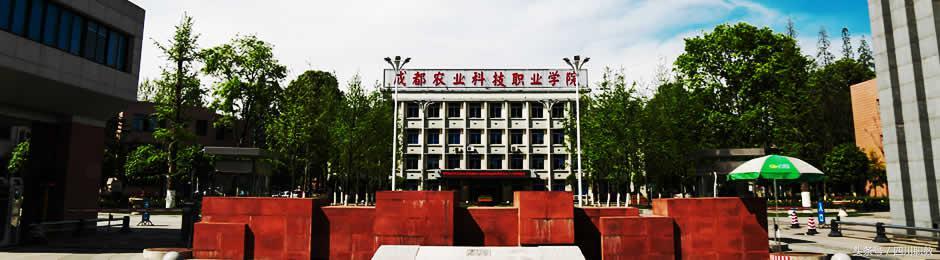 四川最好的高職院校(四川最好的職業(yè)學校排名)