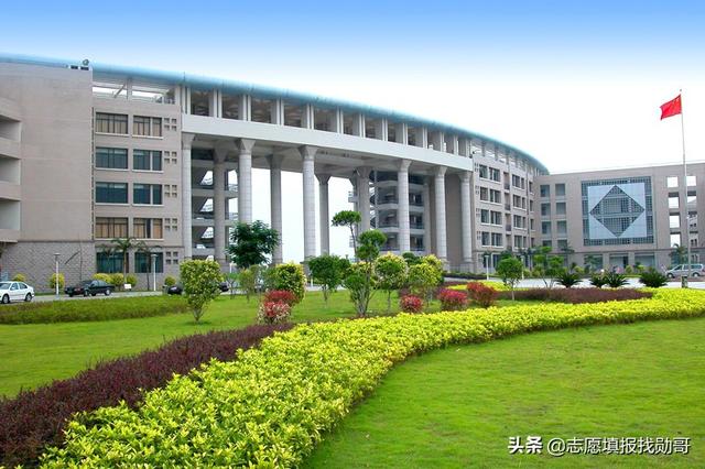 ?？谱x護理專業(yè)的就業(yè)前景(護理專業(yè)的近期目標)