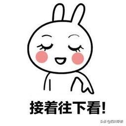四川有那些職業(yè)學校(四川有哪些職業(yè)技術學院)